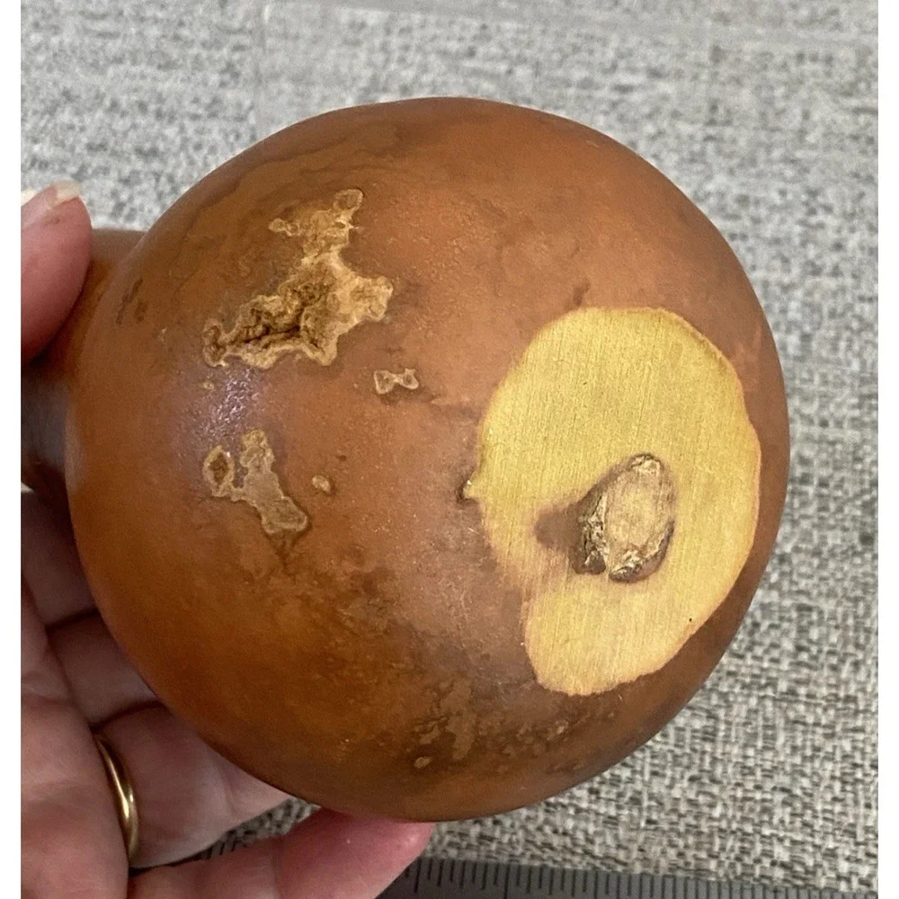 Handcrafted Decorative Pear Gourd • Natural Dried Gourd Art • Rustic Farmhouse D